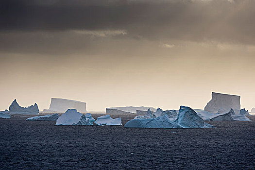 冰山,靠近,岛屿,南极