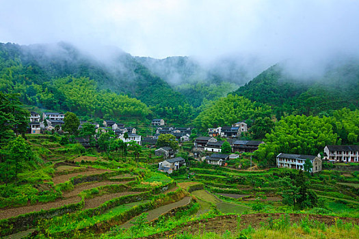 山,树林,雾气,云海,氤氲,绿色,树木,乡村