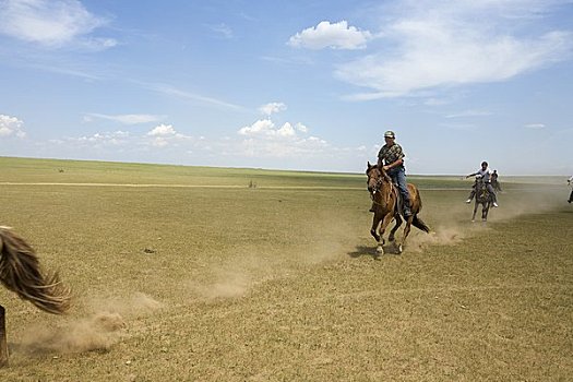 马,赛手,那达慕大会,内蒙古,中国