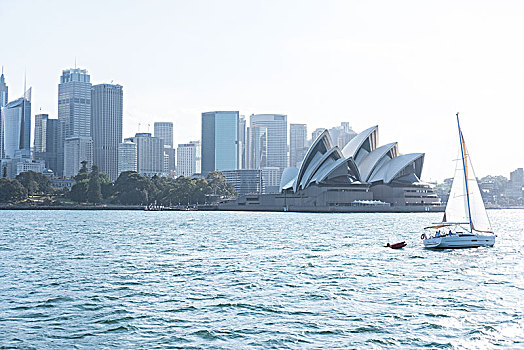 风景,悉尼港