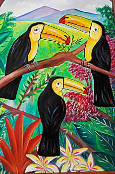 巨嘴鸟,描绘,酒店,尼加拉瓜,中美洲