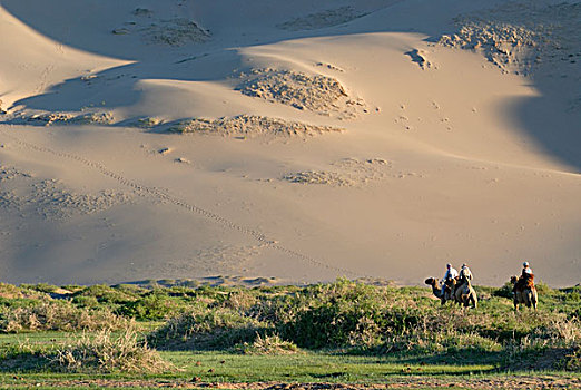 游客,骆驼,骑,茂密,绿色,草,风景,沙子,沙丘,戈壁,沙漠,国家,公园,蒙古,亚洲