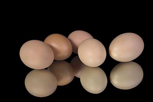 鸡,蛋,棚拍,隔绝,黑色背景