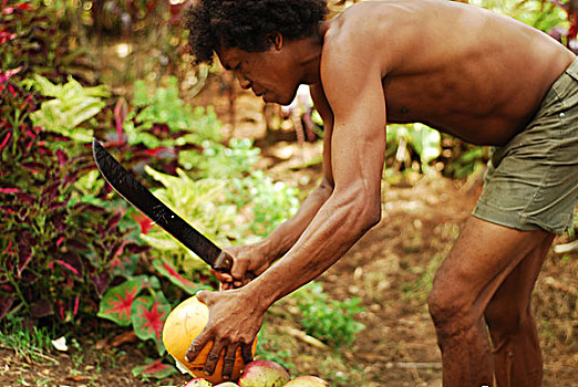 dominica,carib,territory,man,opening,coconut,with,machette