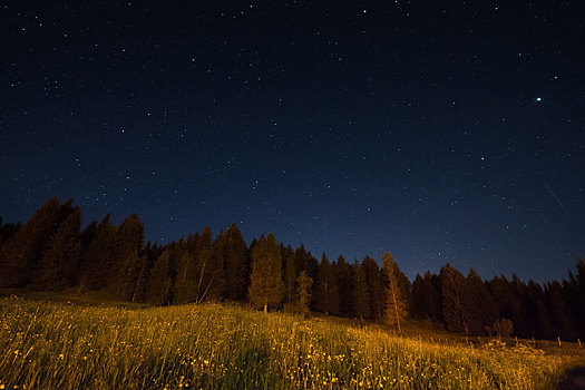 夜晚,风景,星光