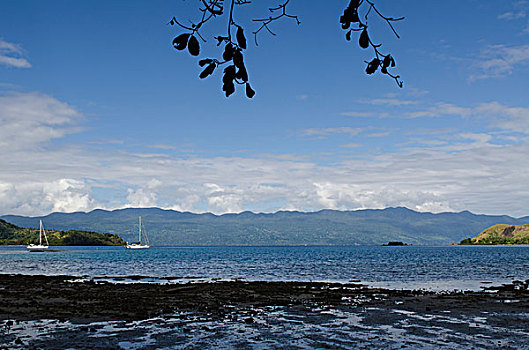 湾,岛屿,斐济