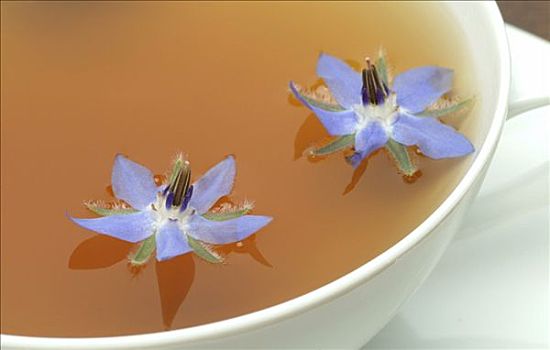 琉璃苣,药茶