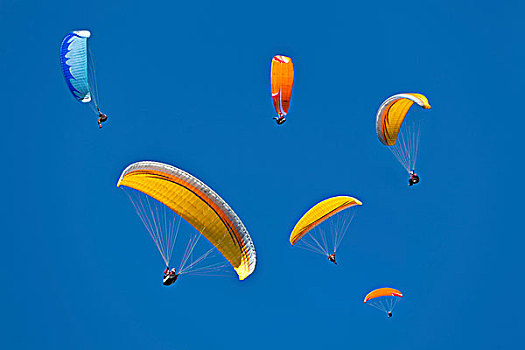 滑翔伞运动者,空中,山,上巴伐利亚,巴伐利亚,德国,欧洲