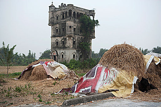 荒芜,乡村,农舍,前景,广东,中国