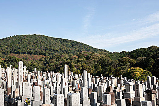 墓地,京都