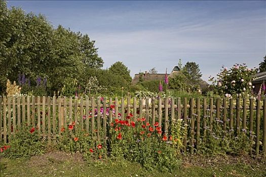 栅栏,别墅花园,北方,石荷州,德国,欧洲