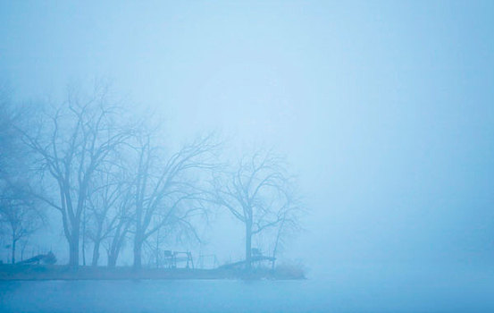 湖,树,薄雾