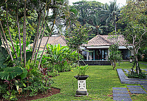 印度尼西亚,巴厘岛,沙努尔,别墅,花园