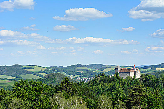 城堡,山,维也纳,阿尔卑斯山,下奥地利州,奥地利