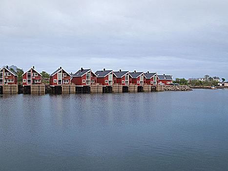 房子,湖,罗浮敦群岛,挪威