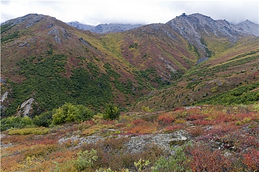 德纳里峰