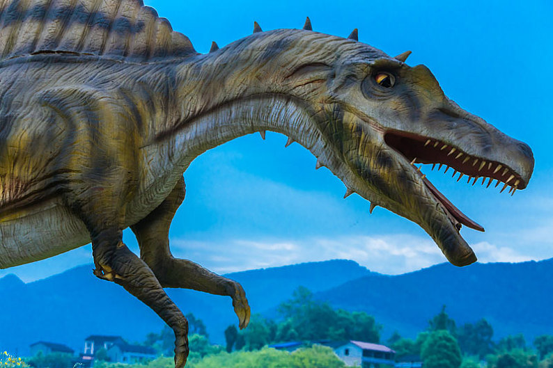 恐龙图片_恐龙高清图片_全景视觉