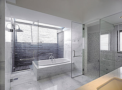 大理石,玻璃,浴室,私人住宅,新加坡