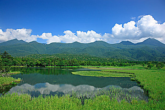 第一,湖,知床五湖,知床山脉,观测