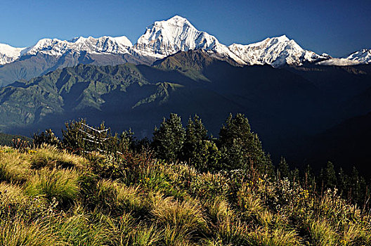 安娜普纳,保护区,尼泊尔