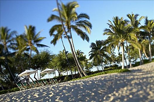 夏威夷,夏威夷大岛,科纳海岸,海滩,沙滩椅,伞,线条,岸边