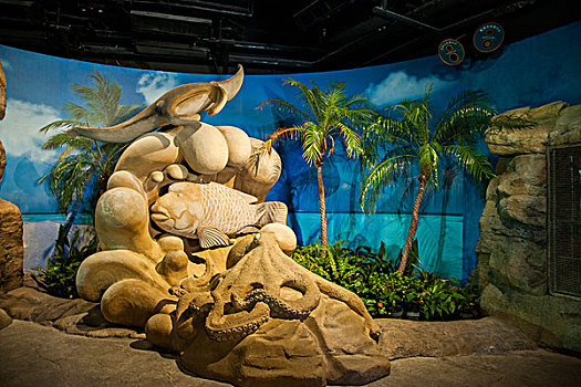 香港海洋公园海洋奇观生物馆沙雕艺术