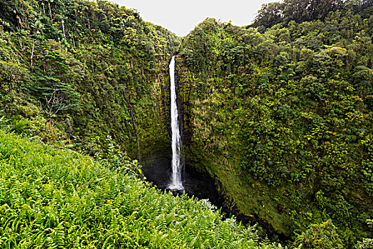 阿卡卡瀑布,希洛,夏威夷,美国