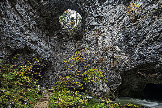 洞,洞穴,河,区域,斯洛文尼亚,欧洲