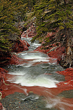 红岩,溪流,飘动,侵蚀,沉淀物,红岩峡谷,瓦特顿湖国家公园,艾伯塔省,加拿大