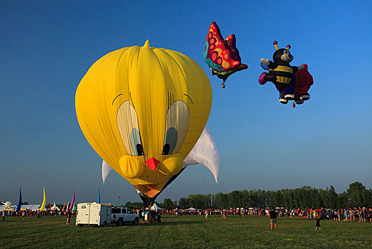 热气球,乘气球,节日,魁北克省,加拿大,北美
