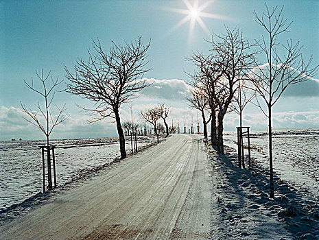 冬季风景