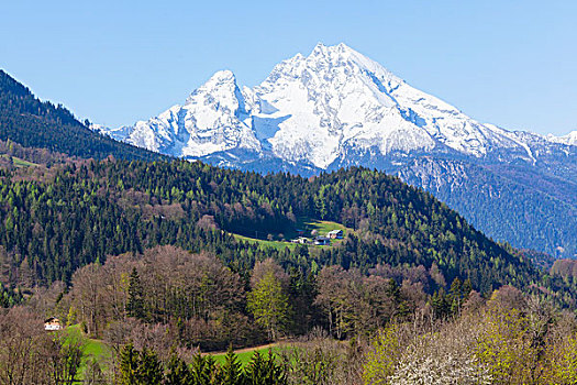 风景,斜坡,瓦茨曼山,贝希特斯加登阿尔卑斯山