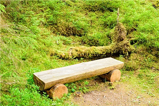长椅,自然