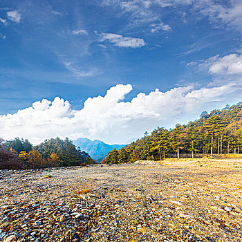 秋天,风景