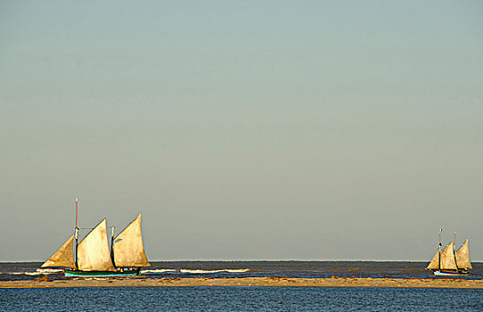 马达加斯加,穆龙达瓦,渔民,船,大,白色,帆,海上