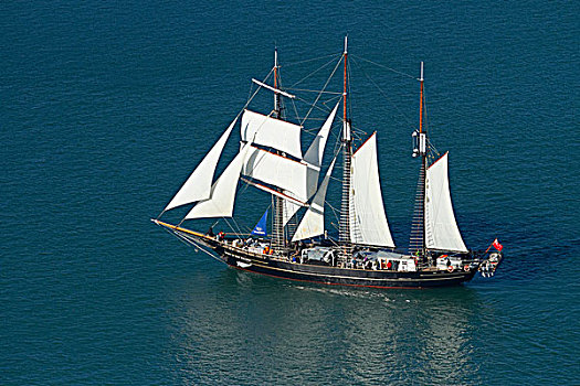 新西兰,高桅横帆船,港口,奥克兰,北岛