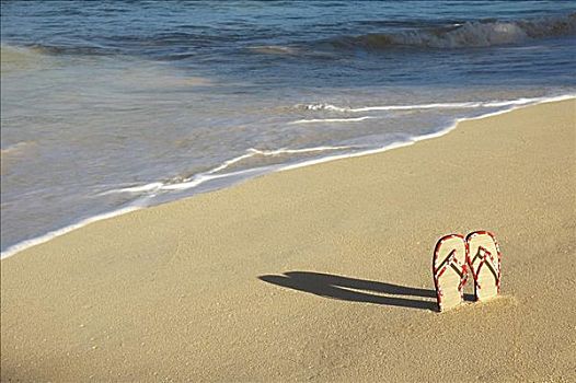 编织物,上面,拖鞋,红色,夏威夷,站立,沙子,海洋,后面