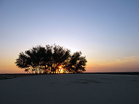 秦皇岛,翡翠岛,沙漠,大海,自然,风景,航拍,奇特,地质,沙丘,海滩,黄金海岸