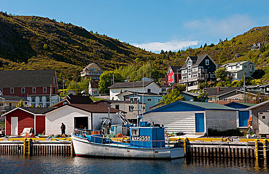 纽芬兰,加拿大,著名,彩色,船,水中