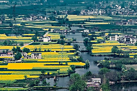 安徽省芜湖市响水涧油菜花田园乡村自然景观