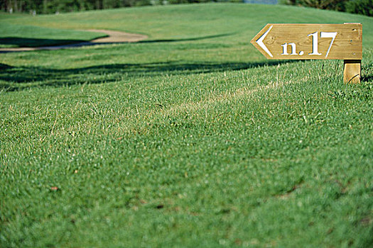 高尔夫球场,标识,数字,洞