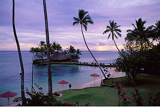 餐馆,斐济,酒店,珊瑚海岸,维提岛