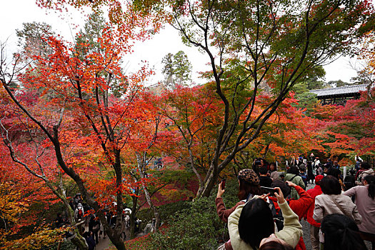 日本京都东福寺