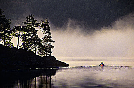 独木舟浆手,靠近,岛屿,模糊,湖,两个,河,黎明,省立公园,安大略省,加拿大