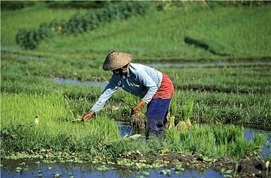 巴厘岛