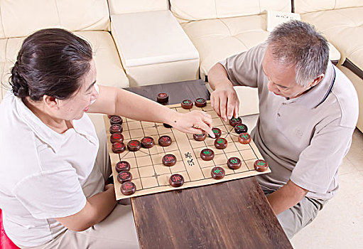 两位老年人下象棋