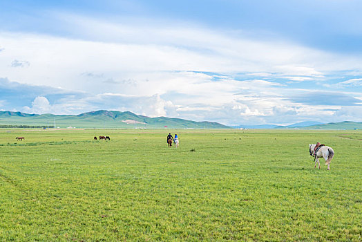 内蒙古,锡林郭勒,大草原