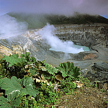 蒸汽,上升,火山,阿拉胡埃拉,哥斯达黎加