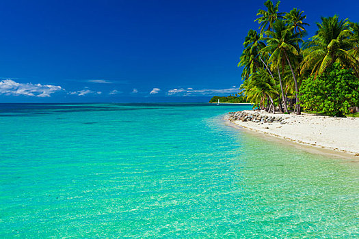 斐济,岛屿,沙滩,清晰,泻湖,水