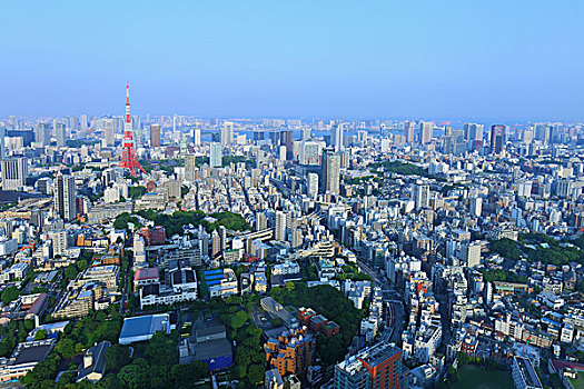 东京塔全景